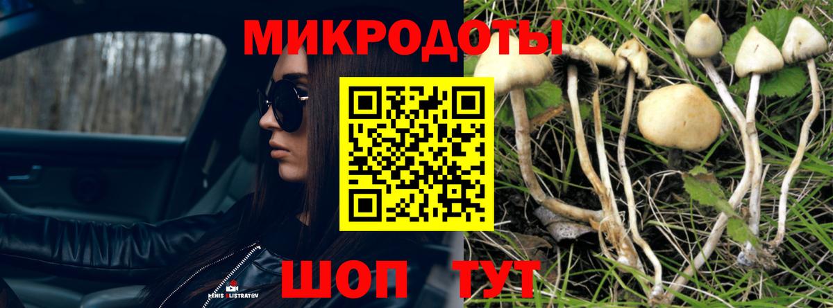 Галлюциногенные грибы Cubensis  Галлюциногенные грибы GOLDEN TEACHER  Вход с VPN  Калуга 